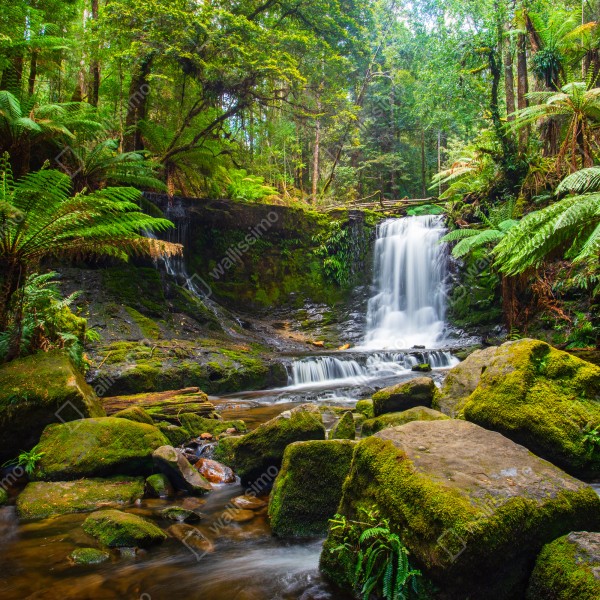 Naklejka na biurko i stół bujny leśny wodospad – Wallissimo® Naklejka na biurko i stół bujny leśny wodospad – Wallissimo®