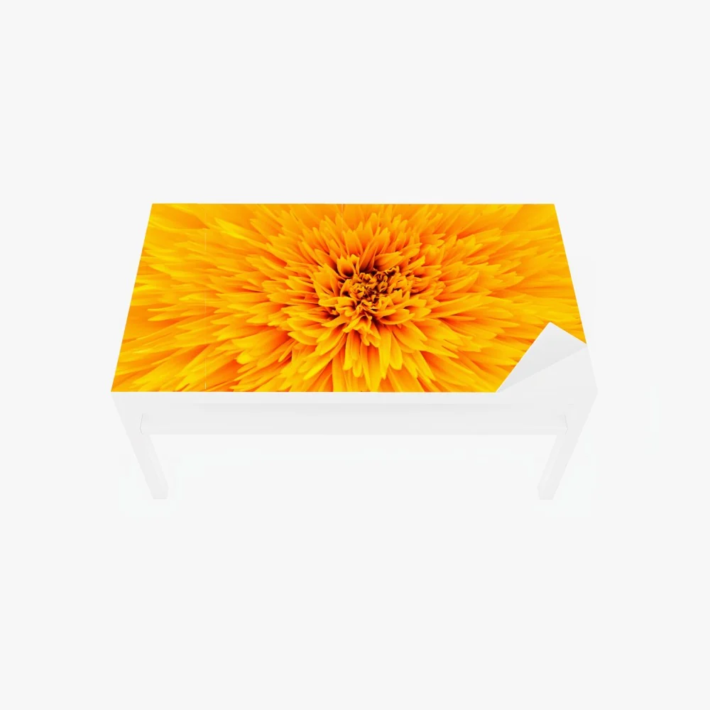 Naklejka na biurko i stół promienny słonecznik z bliska – Wallissimo® Naklejka na biurko i stół promienny słonecznik z bliska – Wallissimo®