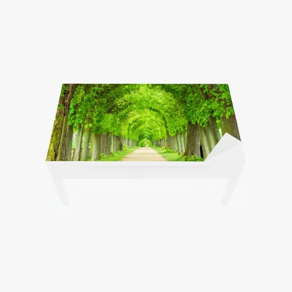 Naklejka na biurko i stół zielony tunel drzew