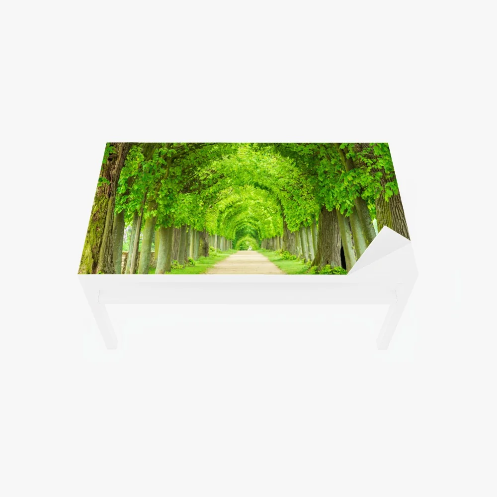 Naklejka na biurko i stół zielony tunel drzew – Wallissimo® Naklejka na biurko i stół zielony tunel drzew – Wallissimo®