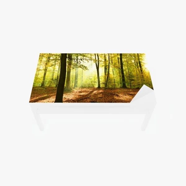 Naklejka na biurko i stół złoty jesienny las o poranku