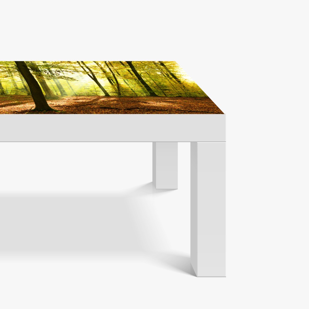 Naklejka na biurko i stół złoty jesienny las o poranku – Wallissimo® Naklejka na biurko i stół złoty jesienny las o poranku – Wallissimo®