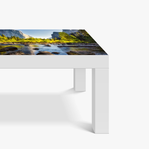 Naklejka na biurko i stół tropikalna dżungla ze zwierzętami – Wallissimo®