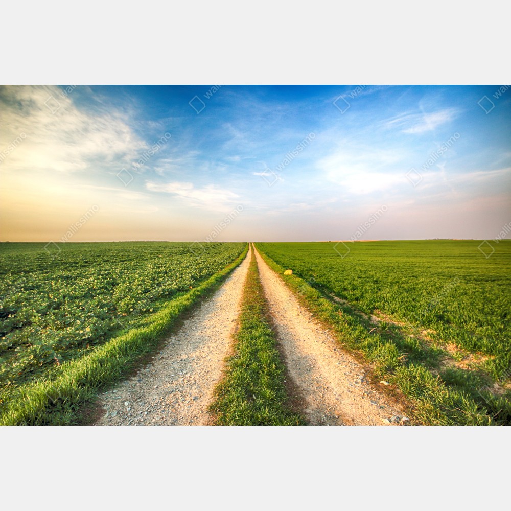 Naklejka na biurko i stół polna droga przez zielone pola – Wallissimo® Naklejka na biurko i stół polna droga przez zielone pola – Wallissimo®