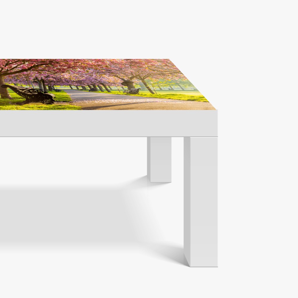 Naklejka na biurko i stół aleja kwitnących wiśni wiosną – Wallissimo® Naklejka na biurko i stół aleja kwitnących wiśni wiosną – Wallissimo®