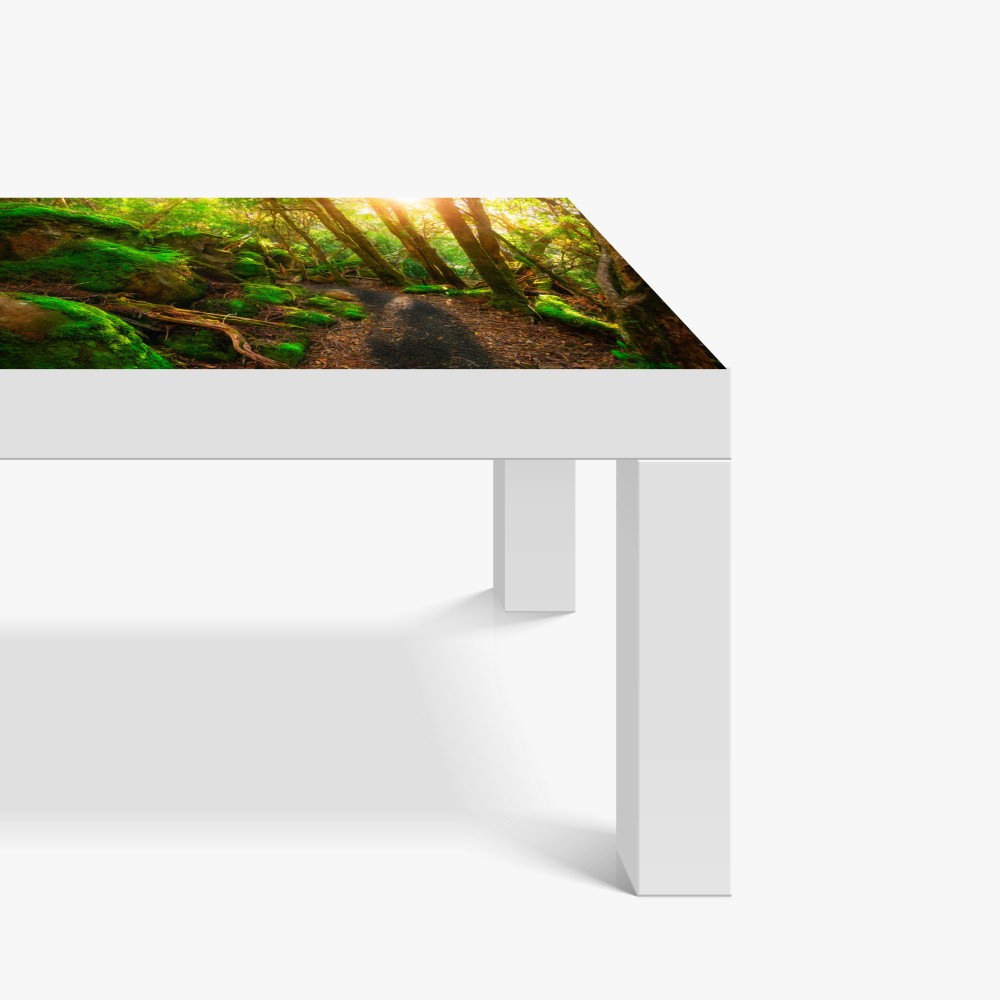 Naklejka na biurko i stół słoneczna ścieżka w lesie deszczowym Półwyspu Tasman, Tasmania – Wallissimo® Naklejka na biurko i stół słoneczna ścieżka w lesie deszczowym Półwyspu Tasman, Tasmania – Wallissimo®