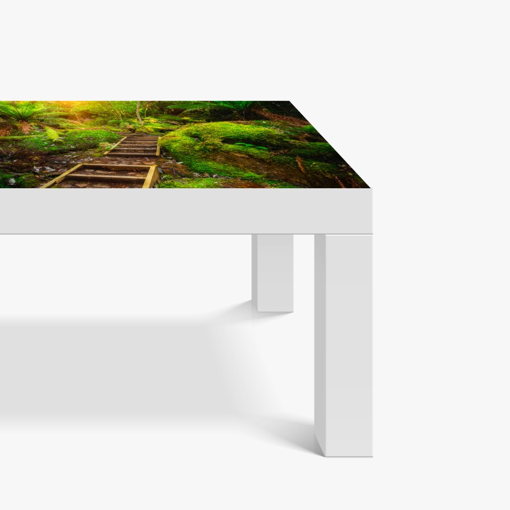 Naklejka na biurko i stół ścieżka w lesie deszczowym na Półwyspie Tasmańskim – Wallissimo® Naklejka na biurko i stół ścieżka w lesie deszczowym na Półwyspie Tasmańskim – Wallissimo®