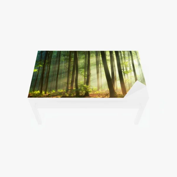 Naklejka na biurko i stół retro czerwone goździki wzór kwiatowy – Wallissimo®