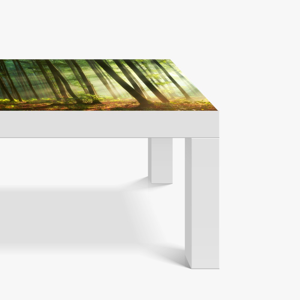 Naklejka na biurko i stół poranny las skąpany w słońcu – Wallissimo® Naklejka na biurko i stół poranny las skąpany w słońcu – Wallissimo®