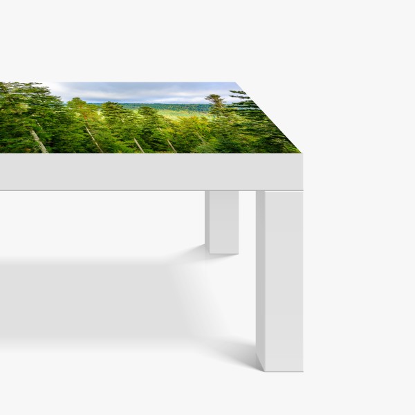 Naklejka na biurko i stół orientalny wzór koi i lotosów w turkusie i złocie – Wallissimo®