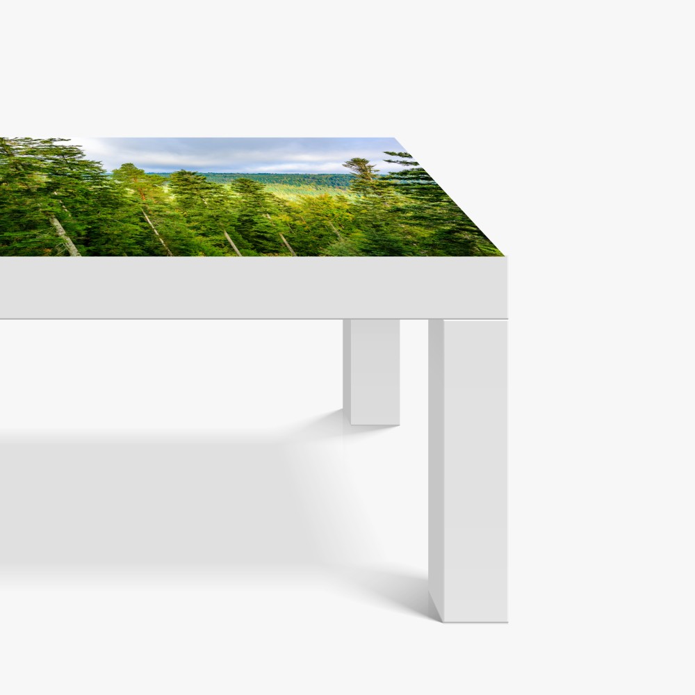 Naklejka na biurko i stół Czarny Las jesienna panorama drzew – Wallissimo® Naklejka na biurko i stół Czarny Las jesienna panorama drzew – Wallissimo®