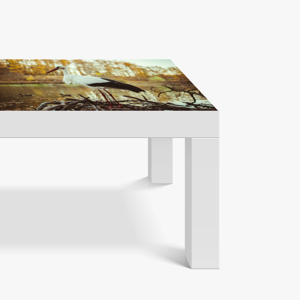 Naklejka na biurko i stół biały bocian nad jesiennym jeziorem – Wallissimo® Naklejka na biurko i stół biały bocian nad jesiennym jeziorem – Wallissimo®