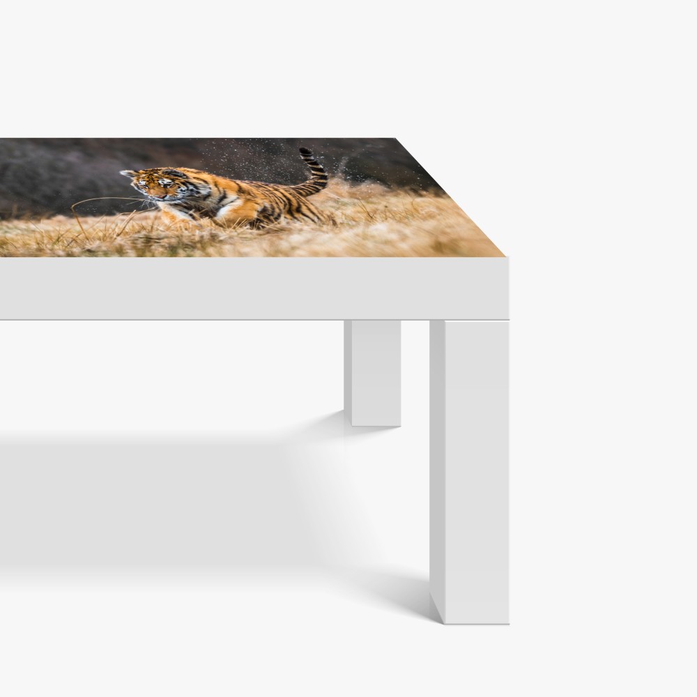 Naklejka na biurko i stół tygrys Syberyjski w biegu – Wallissimo® Naklejka na biurko i stół tygrys Syberyjski w biegu – Wallissimo®