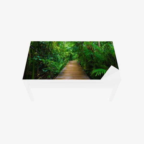 Naklejka na biurko i stół zbliżenie czerwonej dalii – Wallissimo®