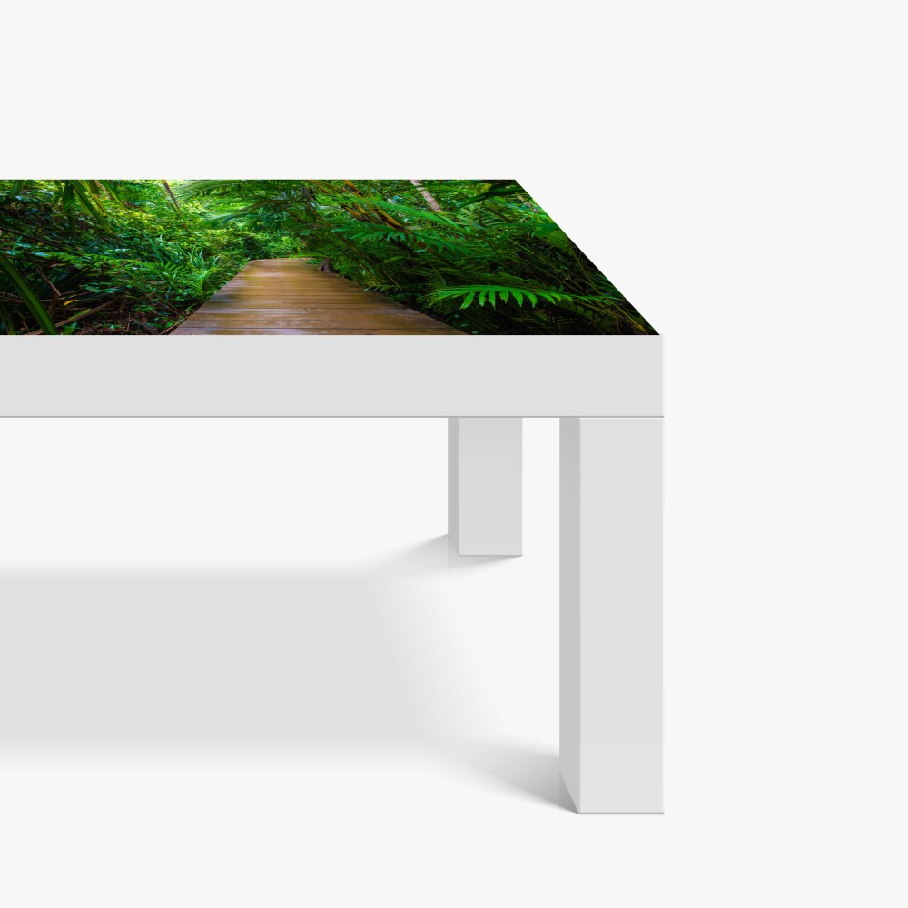 Naklejka na biurko i stół mangrowa kładka w bujnej zielonej dżungli – Wallissimo® Naklejka na biurko i stół mangrowa kładka w bujnej zielonej dżungli – Wallissimo®