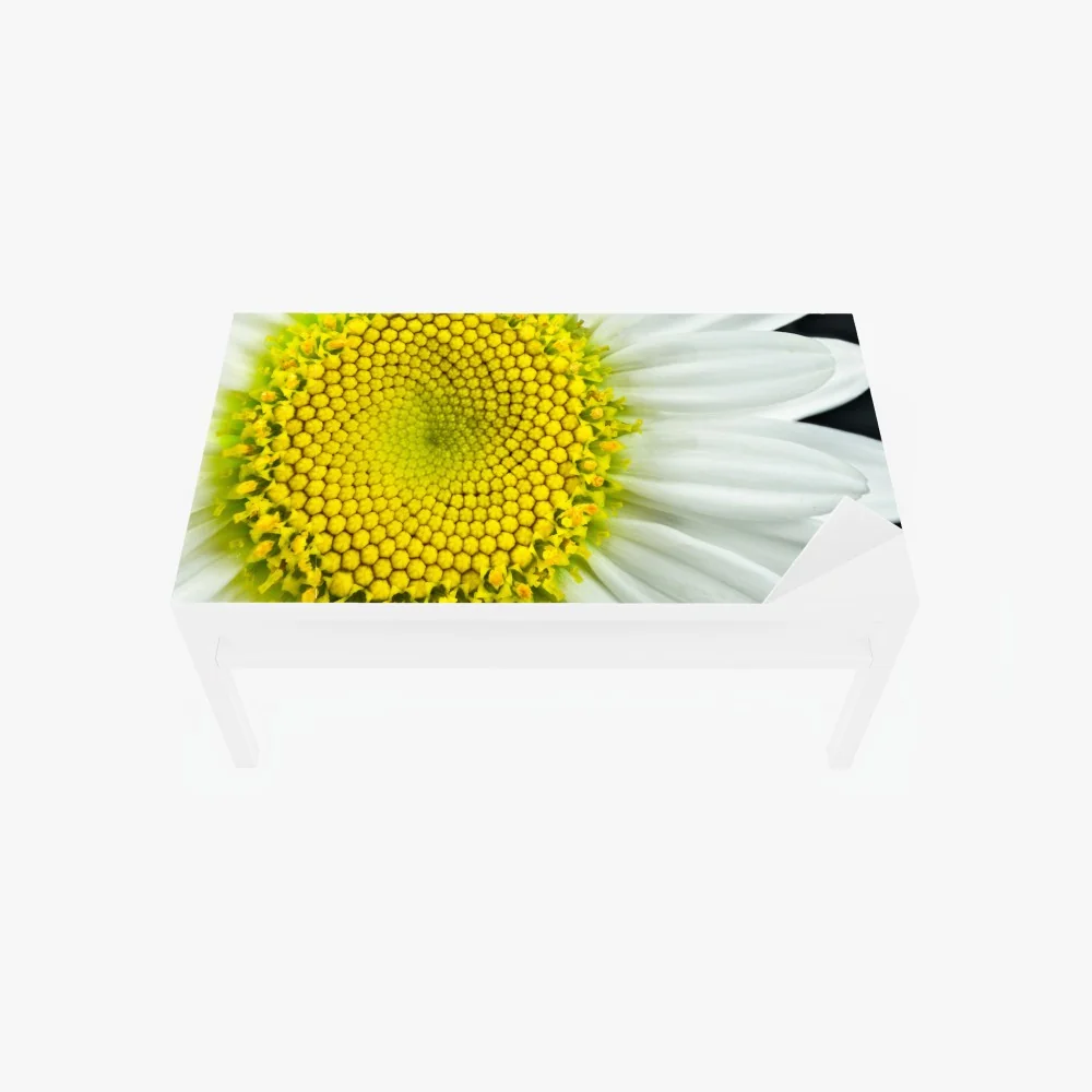 Naklejka na biurko i stół makro stokrotki w spiralnym wzorze – Wallissimo® Naklejka na biurko i stół makro stokrotki w spiralnym wzorze – Wallissimo®