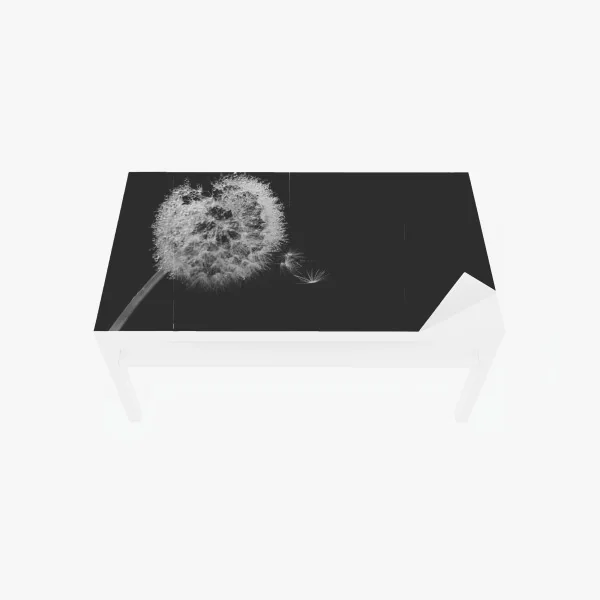 Naklejka na biurko i stół delikatny dmuchawiec w monochromie