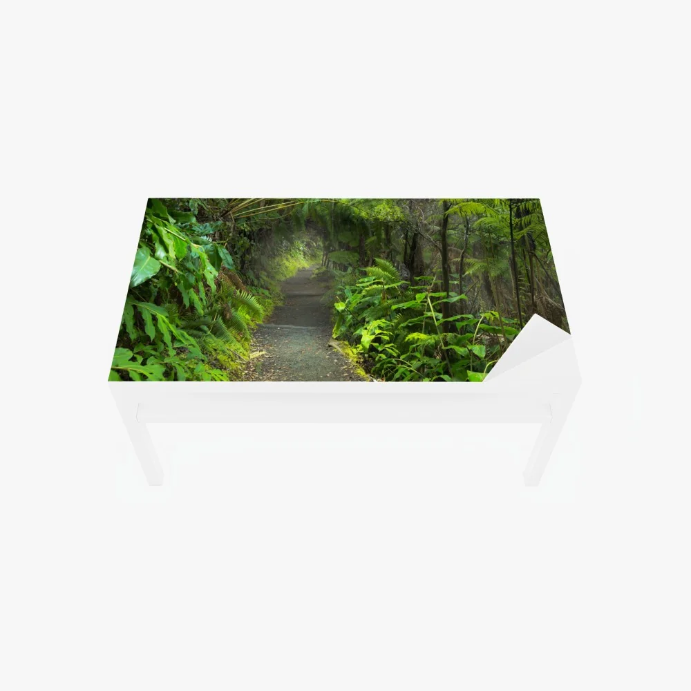 Naklejka na biurko i stół bujny las deszczowy na szlaku Kilauea Iki, Hawaje – Wallissimo® Naklejka na biurko i stół bujny las deszczowy na szlaku Kilauea Iki, Hawaje – Wallissimo®