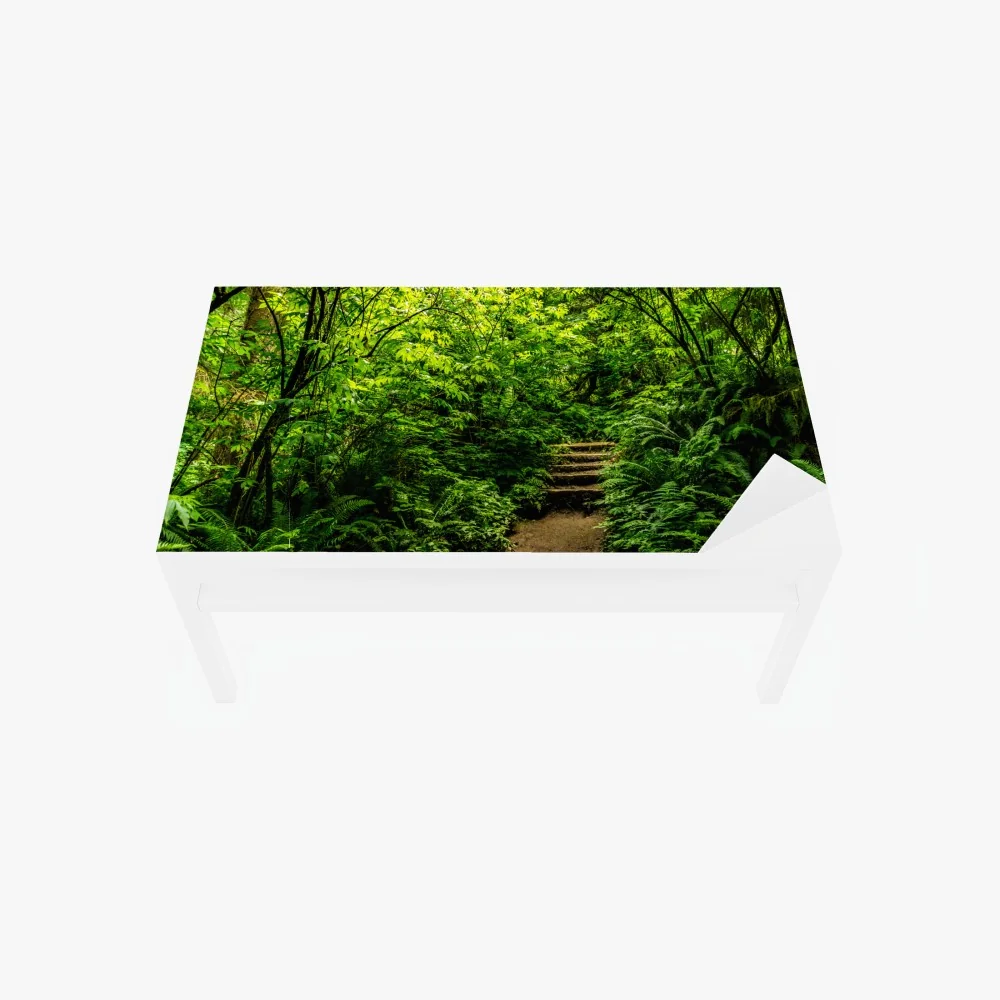 Naklejka na biurko i stół bujna leśna ścieżka – Wallissimo® Naklejka na biurko i stół bujna leśna ścieżka – Wallissimo®