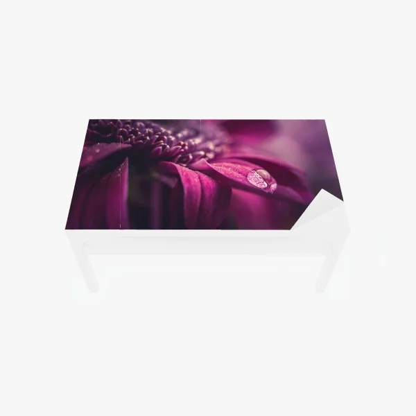 Naklejka na biurko i stół fioletowy makro kwiat z kroplą rosy