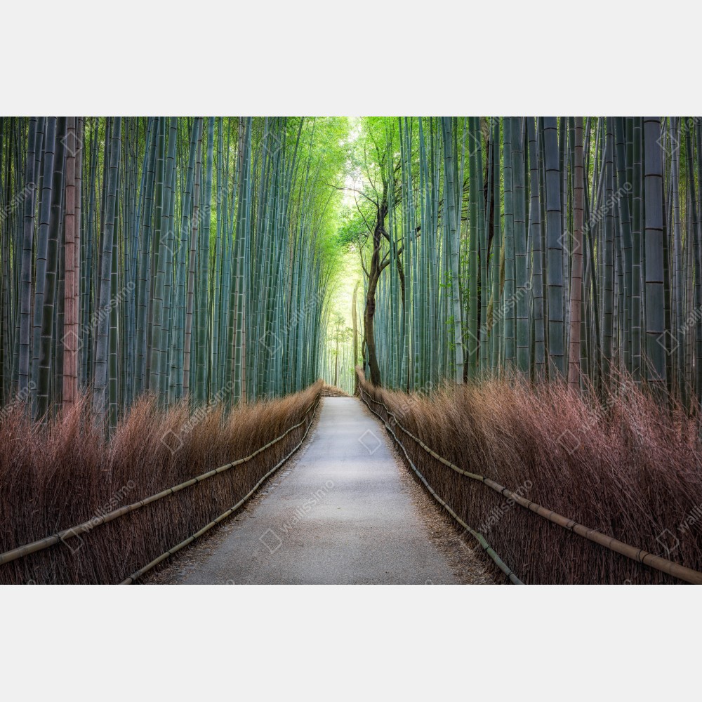 Naklejka na biurko i stół spokojna ścieżka w lesie bambusowym – Wallissimo® Naklejka na biurko i stół spokojna ścieżka w lesie bambusowym – Wallissimo®