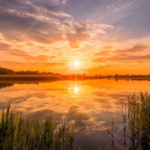Naklejka na biurko i stół złoty zachód słońca nad spokojnym jeziorem – Wallissimo® Naklejka na biurko i stół złoty zachód słońca nad spokojnym jeziorem – Wallissimo®