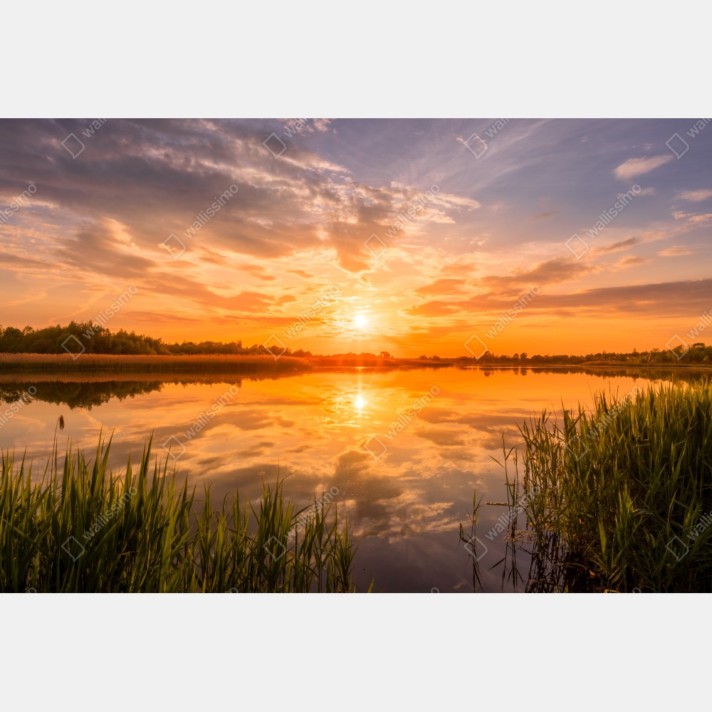 Naklejka na biurko i stół złoty zachód słońca nad spokojnym jeziorem – Wallissimo® Naklejka na biurko i stół złoty zachód słońca nad spokojnym jeziorem – Wallissimo®