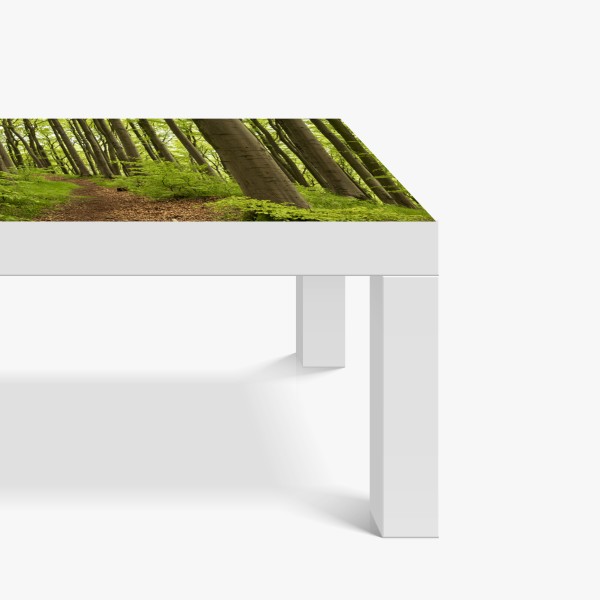 Naklejka na biurko i stół spokojna zielona ścieżka leśna – Wallissimo® Naklejka na biurko i stół spokojna zielona ścieżka leśna – Wallissimo®