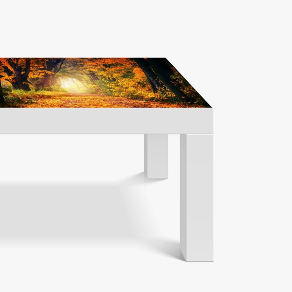 Naklejka na biurko i stół wzór z kaktusami i sukulentami – Wallissimo®