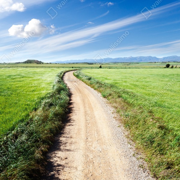 Naklejka na biurko i stół wijąca się wiejska droga przez zielone łąki – Wallissimo® Naklejka na biurko i stół wijąca się wiejska droga przez zielone łąki – Wallissimo®
