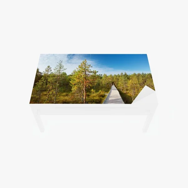 Naklejka na biurko i stół słoneczna kładka w sosnowym lesie