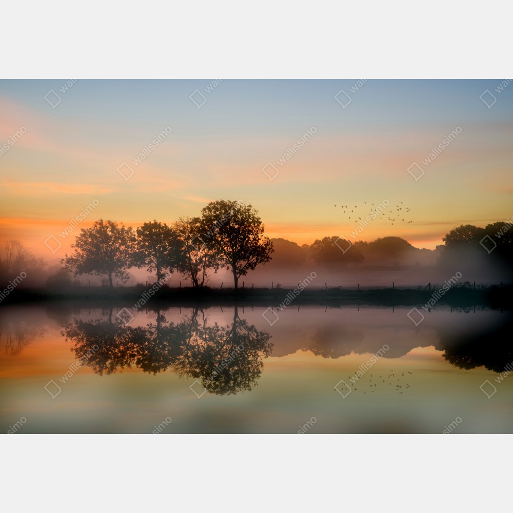 Naklejka na biurko i stół mglisty jesienny wschód słońca nad Angielską wsią – Wallissimo® Naklejka na biurko i stół mglisty jesienny wschód słońca nad Angielską wsią – Wallissimo®