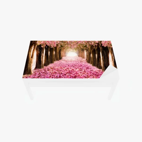 Naklejka na biurko i stół zbliżenie czerwonej dalii – Wallissimo®