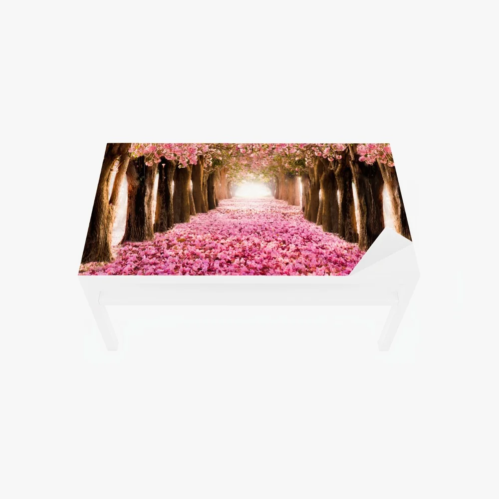 Naklejka na biurko i stół różowa aleja kwiatów wiśni – Wallissimo® Naklejka na biurko i stół różowa aleja kwiatów wiśni – Wallissimo®