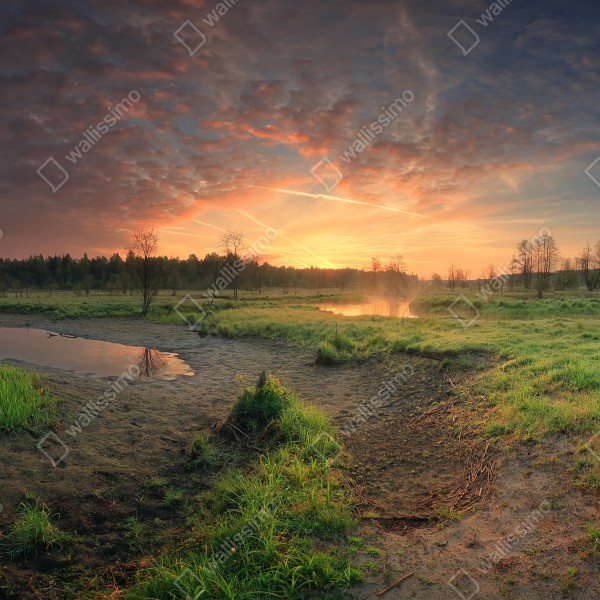 Naklejka na biurko i stół zachód słońca nad spokojną łąką – Wallissimo® Naklejka na biurko i stół zachód słońca nad spokojną łąką – Wallissimo®