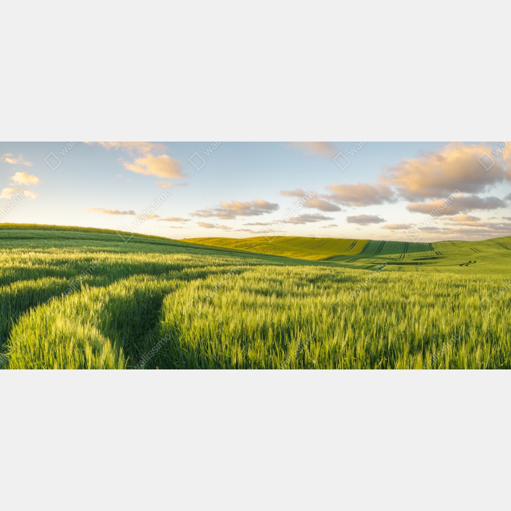 Naklejka na biurko i stół spokojna zielona łąka panorama – Wallissimo® Naklejka na biurko i stół spokojna zielona łąka panorama – Wallissimo®