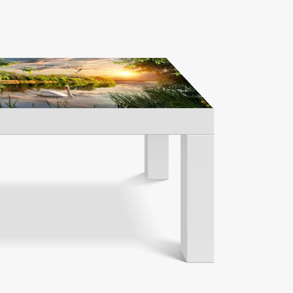 Naklejka na biurko i stół zachód słońca z łabędziem nad jeziorem – Wallissimo® Naklejka na biurko i stół zachód słońca z łabędziem nad jeziorem – Wallissimo®