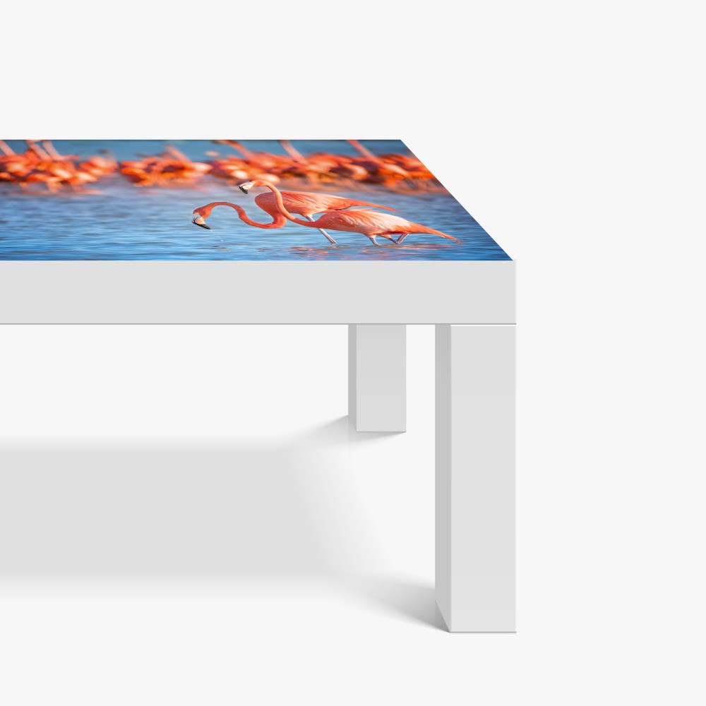 Naklejka na biurko i stół wdzięczne flamingi w płytkiej wodzie – Wallissimo® Naklejka na biurko i stół wdzięczne flamingi w płytkiej wodzie – Wallissimo®