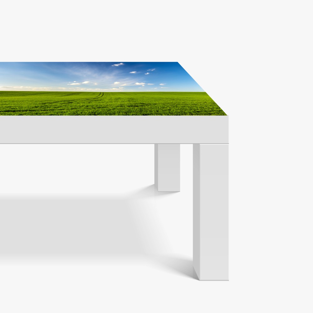 Naklejka na biurko i stół wiosenna zielona panorama łąki – Wallissimo® Naklejka na biurko i stół wiosenna zielona panorama łąki – Wallissimo®