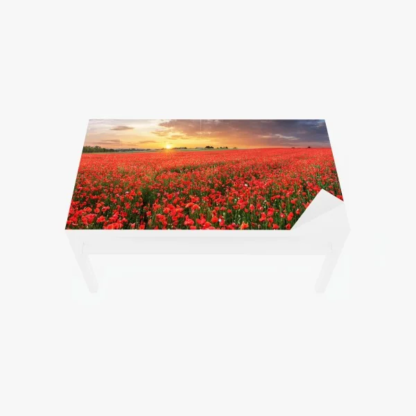 Naklejka na biurko i stół spokojny wschód słońca nad brzegiem oceanu – Wallissimo®