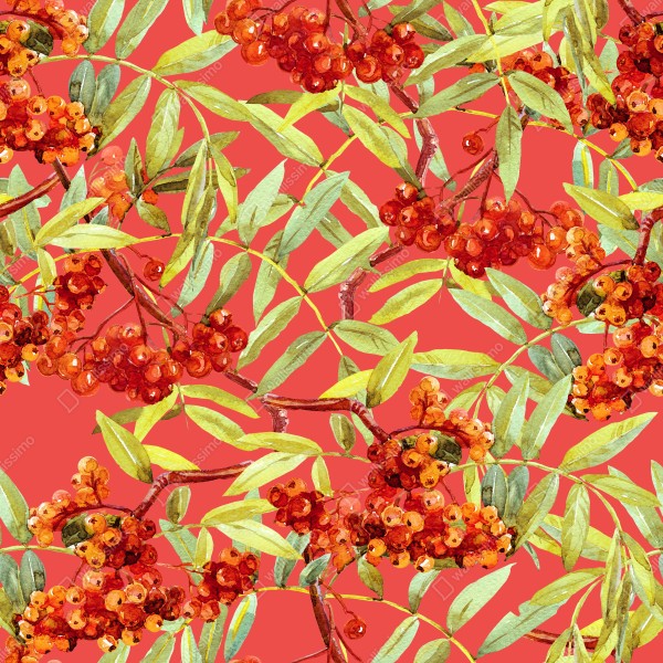 Naklejka na biurko i stół akwarelowy wzór jarzębiny – Wallissimo® Naklejka na biurko i stół akwarelowy wzór jarzębiny – Wallissimo®