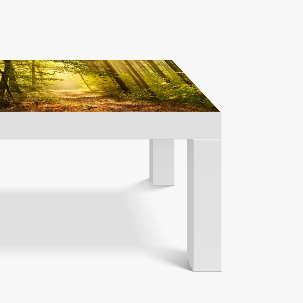 Naklejka na biurko i stół słoneczna leśna ścieżka jesienią – Wallissimo® Naklejka na biurko i stół słoneczna leśna ścieżka jesienią – Wallissimo®