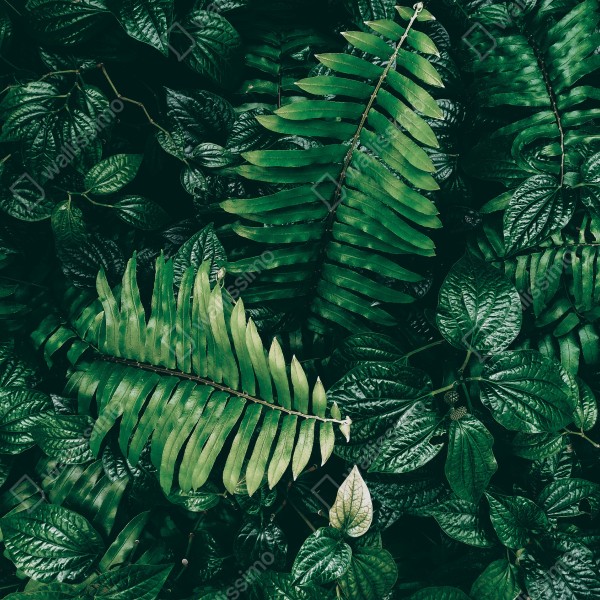 Naklejka na biurko i stół bujne tropikalne liście – Wallissimo® Naklejka na biurko i stół bujne tropikalne liście – Wallissimo®