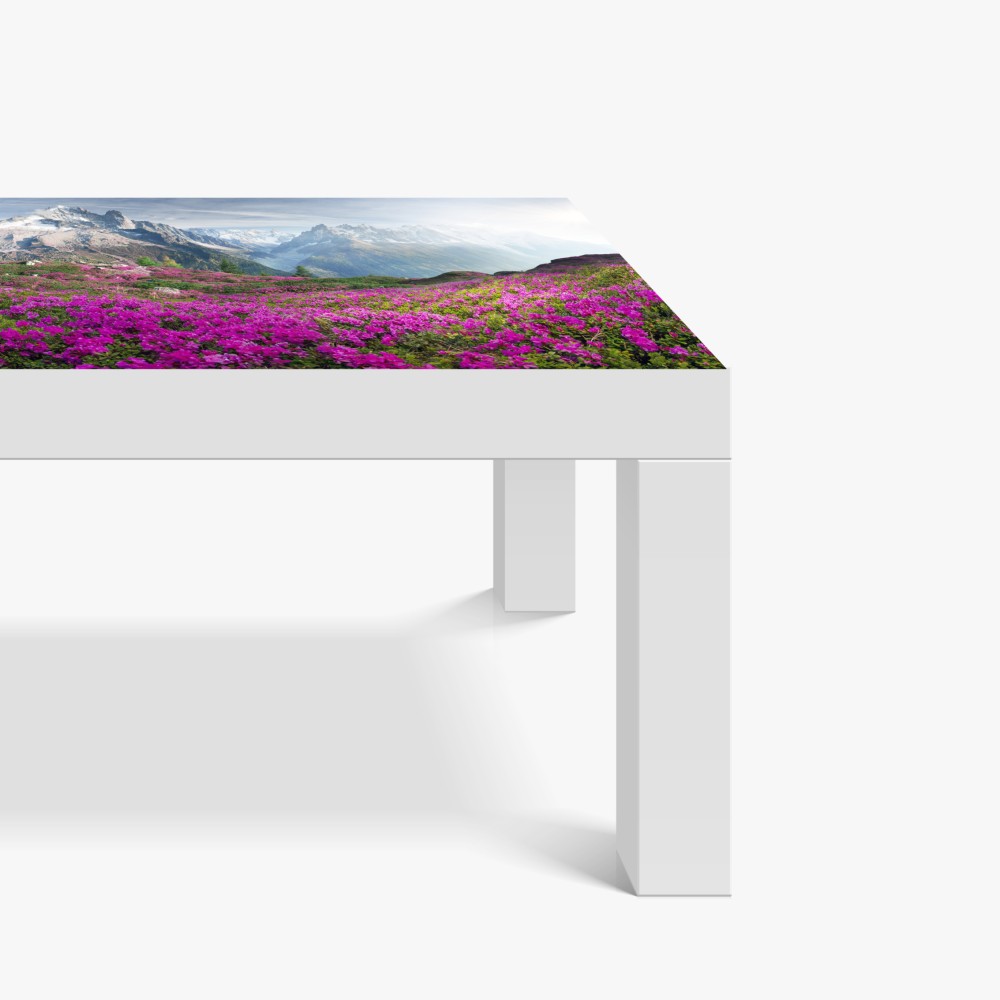 Naklejka na biurko i stół alpejska łąka różaneczników przy Mont Blanc – Wallissimo® Naklejka na biurko i stół alpejska łąka różaneczników przy Mont Blanc – Wallissimo®