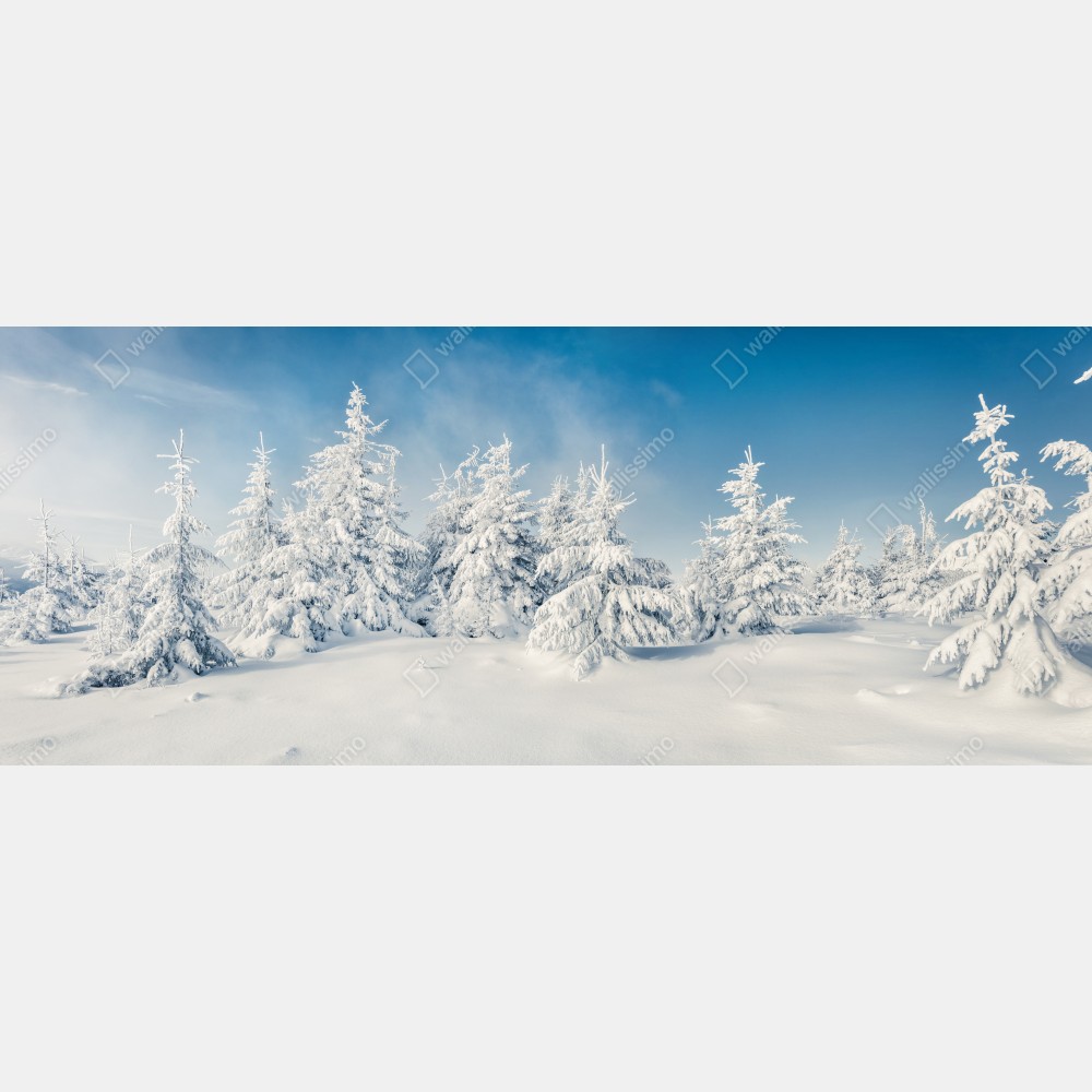 Naklejka na biurko i stół panorama zimowego lasu pokrytego śniegiem – Wallissimo® Naklejka na biurko i stół panorama zimowego lasu pokrytego śniegiem – Wallissimo®