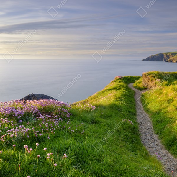 Naklejka na biurko i stół zatoka Ceibwr ścieżka nadmorska o zmierzchu – Wallissimo® Naklejka na biurko i stół zatoka Ceibwr ścieżka nadmorska o zmierzchu – Wallissimo®