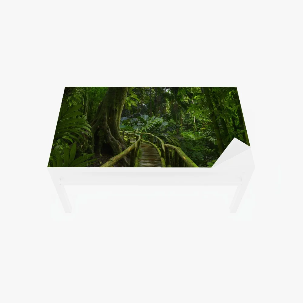 Naklejka na biurko i stół spokojna kładka w dżungli przez bujny las deszczowy – Wallissimo® Naklejka na biurko i stół spokojna kładka w dżungli przez bujny las deszczowy – Wallissimo®