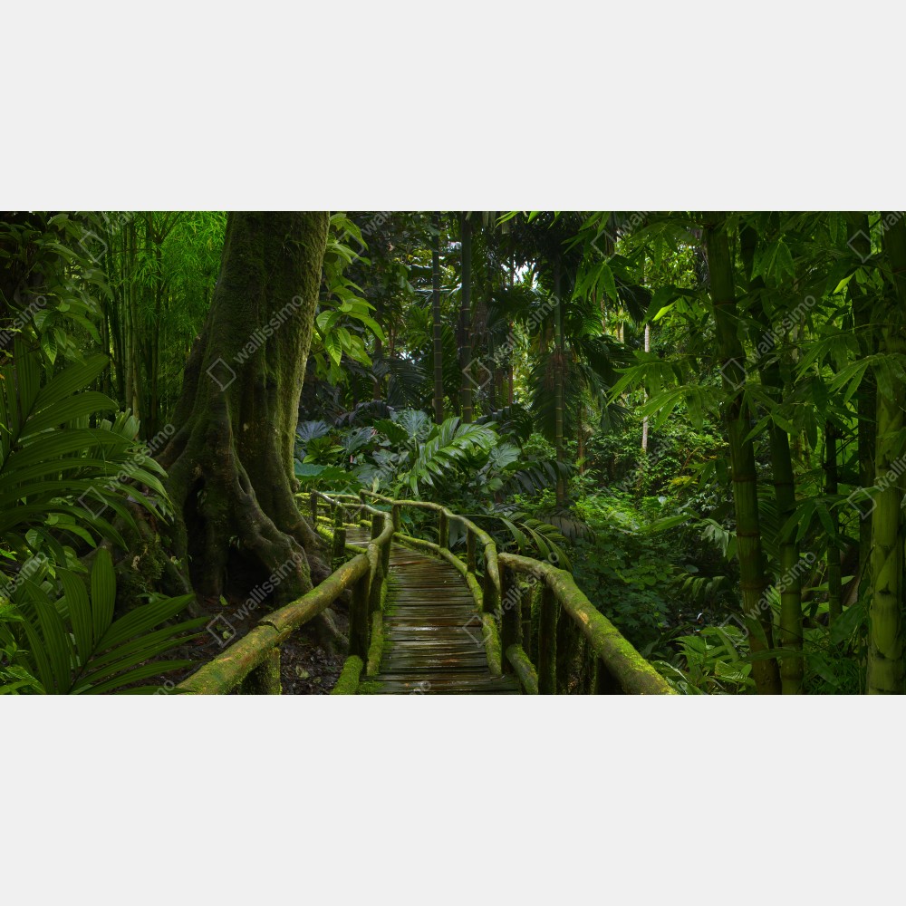 Naklejka na biurko i stół spokojna kładka w dżungli przez bujny las deszczowy – Wallissimo® Naklejka na biurko i stół spokojna kładka w dżungli przez bujny las deszczowy – Wallissimo®