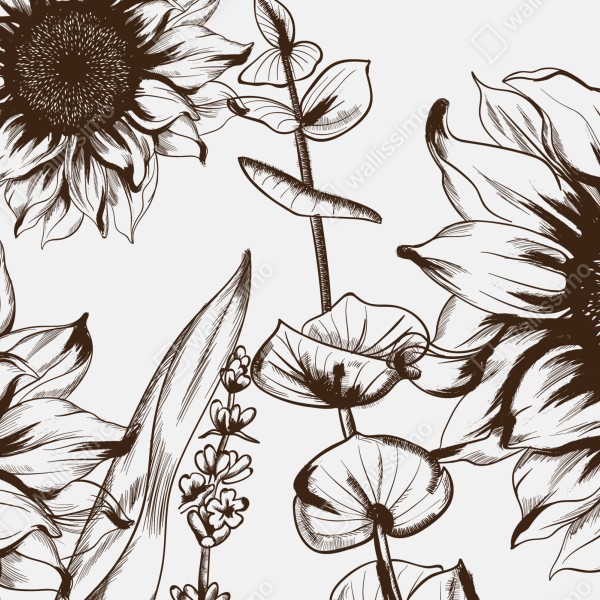 Naklejka na biurko i stół ilustracja botaniczna słonecznik w sepii – Wallissimo® Naklejka na biurko i stół ilustracja botaniczna słonecznik w sepii – Wallissimo®