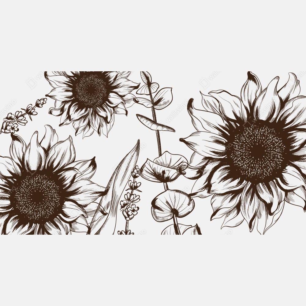 Naklejka na biurko i stół ilustracja botaniczna słonecznik w sepii – Wallissimo® Naklejka na biurko i stół ilustracja botaniczna słonecznik w sepii – Wallissimo®